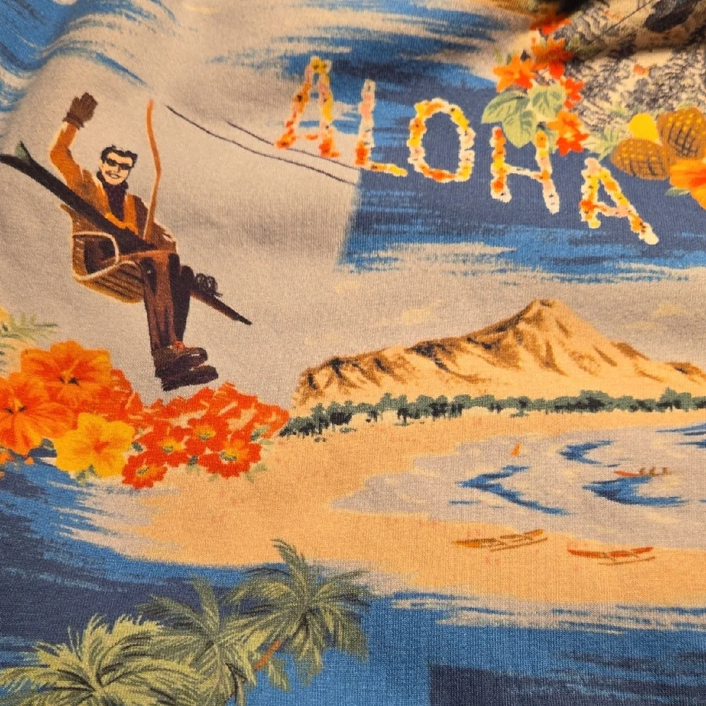 Polo Ralph Lauren Ski Hawaii Fleece Lined Hoodie Youth XL - Picture 7 of 8